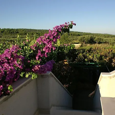 Appartamento Apartments With A Parking Space Mirca, Brac - 2841 *