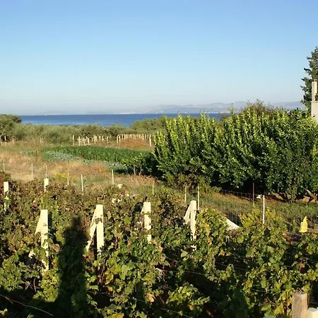 Appartamento Apartments With A Parking Space Mirca, Brac - 2841